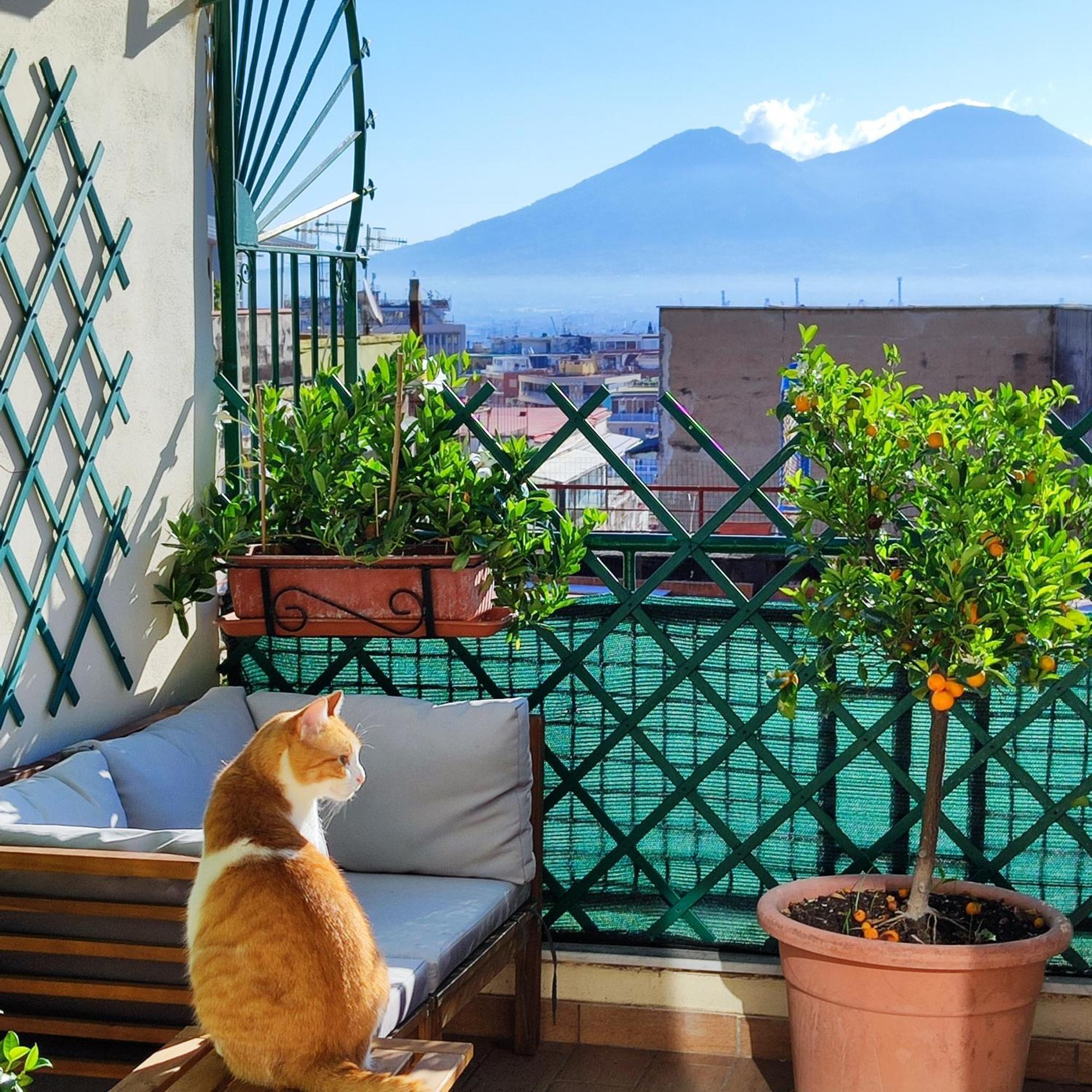 ナポリ La Casa Blu Bed & Breakfast エクステリア 写真